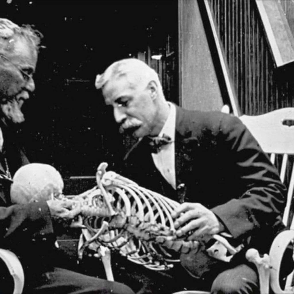 osteopatia